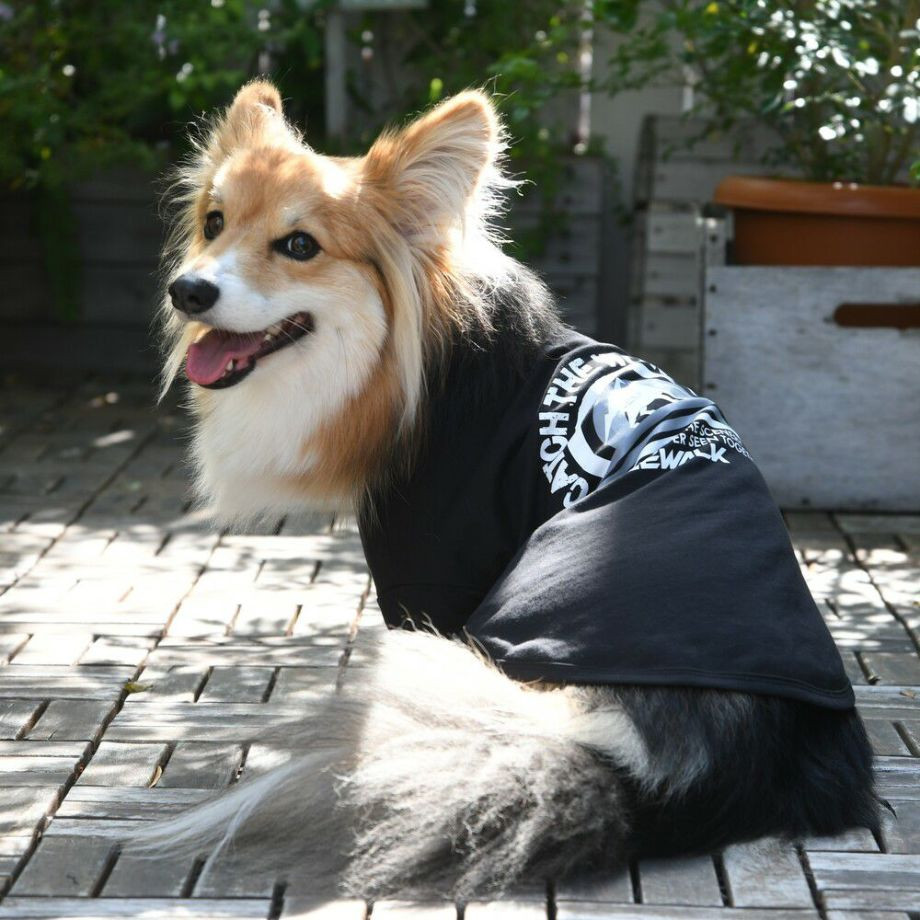 グラフィックＴシャツロゴ【CG】コーギー専用サイズ  犬  GEWALK  ジウォーク  Tシャツ・カットソー