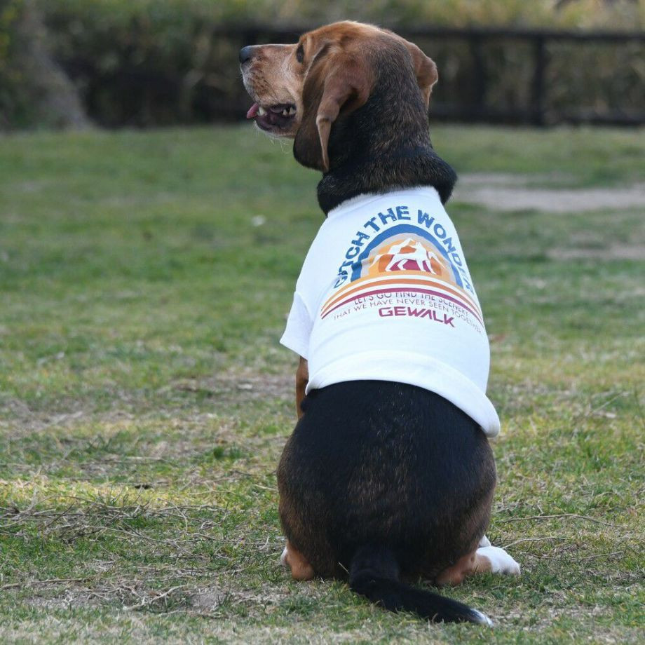 グラフィックＴシャツロゴ【L】  犬  GEWALK  ジウォーク  Tシャツ・カットソー