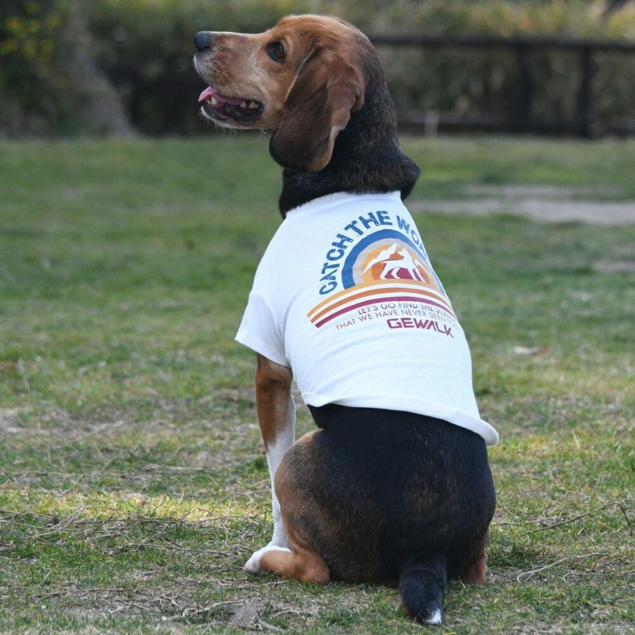 グラフィックＴシャツロゴ【L】  犬  GEWALK  ジウォーク  Tシャツ・カットソー