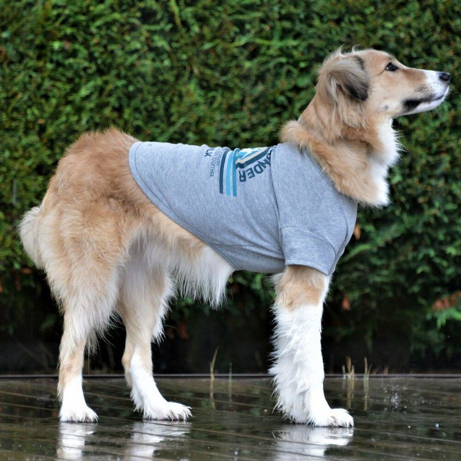 グラフィックＴシャツロゴ【L】  犬  GEWALK  ジウォーク  Tシャツ・カットソー