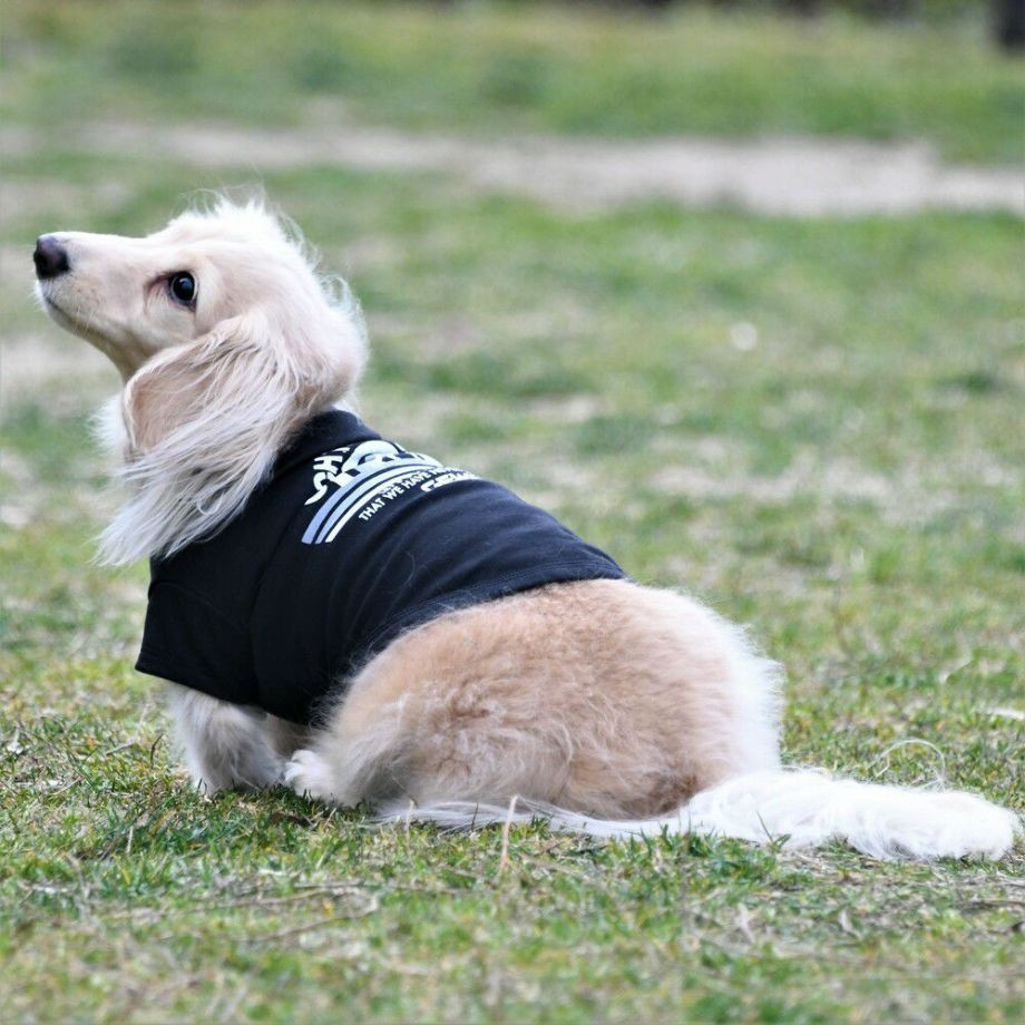 グラフィックＴシャツロゴ【DM】ダックスフンド専用サイズ  犬  GEWALK  ジウォーク  Tシャツ・カットソー