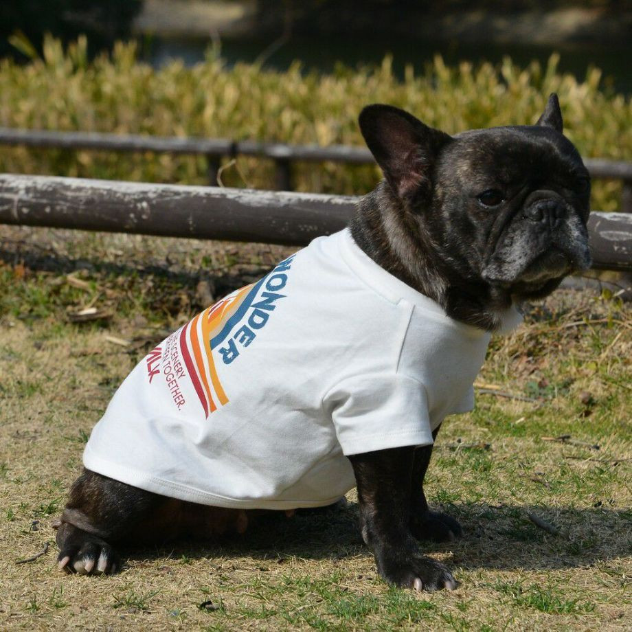 グラフィックＴシャツロゴ【BM】ブルドッグ専用サイズ  犬  GEWALK  ジウォーク  Tシャツ・カットソー