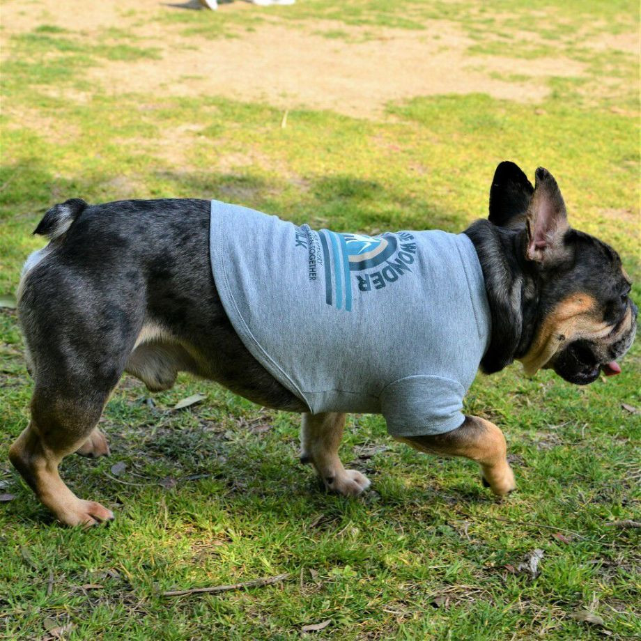 グラフィックＴシャツロゴ【BM】ブルドッグ専用サイズ  犬  GEWALK  ジウォーク  Tシャツ・カットソー