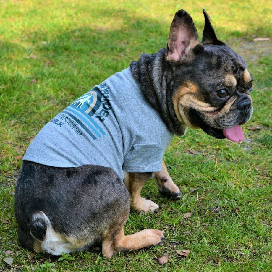 グラフィックＴシャツロゴ【BM】ブルドッグ専用サイズ  犬  GEWALK  ジウォーク  Tシャツ・カットソー