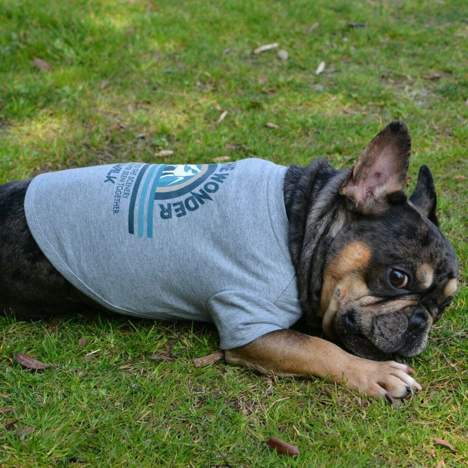 グラフィックＴシャツロゴ【BM】ブルドッグ専用サイズ  犬  GEWALK  ジウォーク  Tシャツ・カットソー