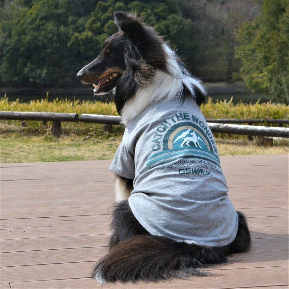 グラフィックＴシャツロゴ【XXL】  犬  GEWALK  ジウォーク  Tシャツ・カットソー