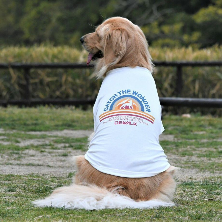 グラフィックＴシャツロゴ【XXL】  犬  GEWALK  ジウォーク  Tシャツ・カットソー