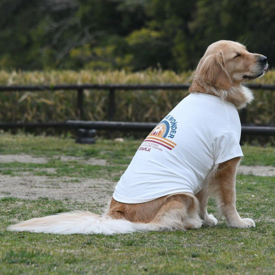 グラフィックＴシャツロゴ【XXL】  犬  GEWALK  ジウォーク  Tシャツ・カットソー