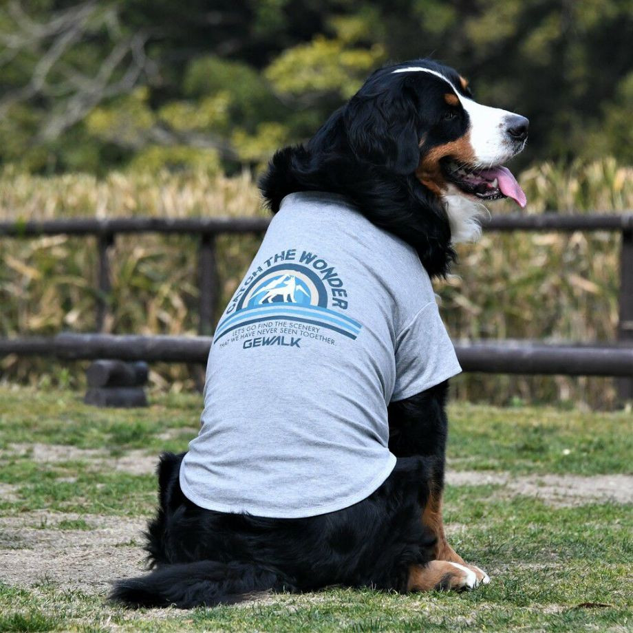 グラフィックＴシャツロゴ【3XL】  犬  GEWALK  ジウォーク  Tシャツ・カットソー