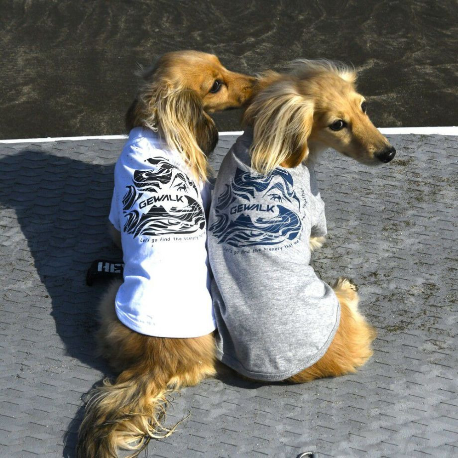 LGE530  サーフウエーブバックプリント　Ｔシャツ【DSダックスフンド専用サイズ】  犬  GEWALK  ジウォーク  Tシャツ・カットソー