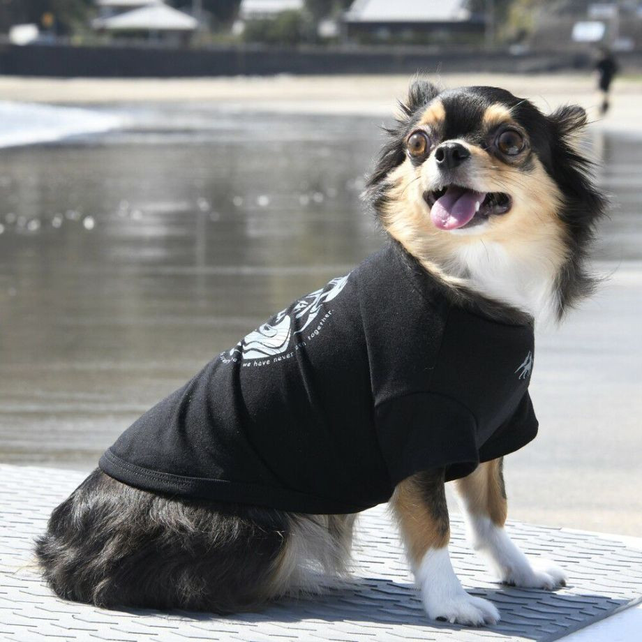 LGE530 サーフウエーブバックプリント　Ｔシャツ 【XS】【S】  犬  GEWALK  ジウォーク  Tシャツ・カットソー