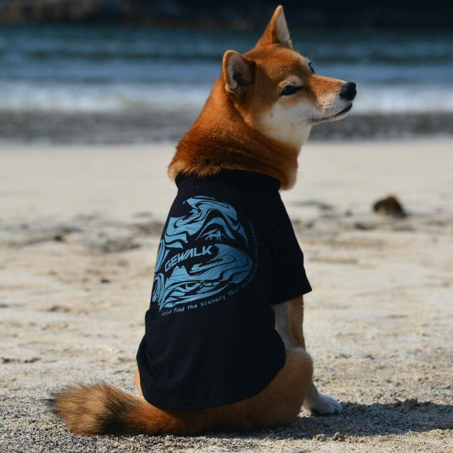 LGE530 サーフウエーブバックプリント　Ｔシャツ 【M】  犬  GEWALK  ジウォーク  Tシャツ・カットソー