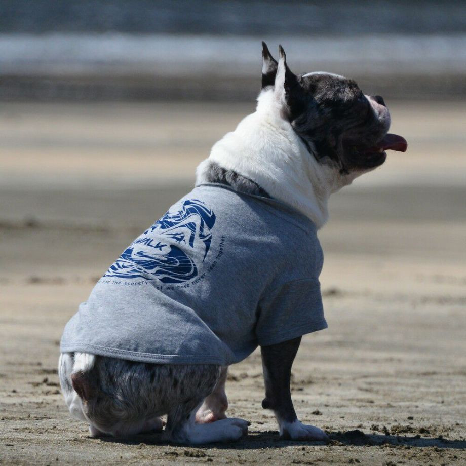 LGE530 サーフウエーブバックプリント　Ｔシャツ 【BMブルドッグ専用サイズ】  犬  GEWALK  ジウォーク  Tシャツ・カットソー