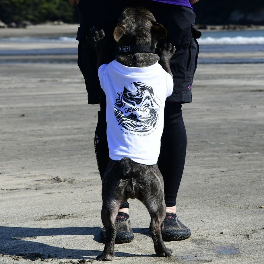 LGE530 サーフウエーブバックプリント　Ｔシャツ 【BMブルドッグ専用サイズ】  犬  GEWALK  ジウォーク  Tシャツ・カットソー