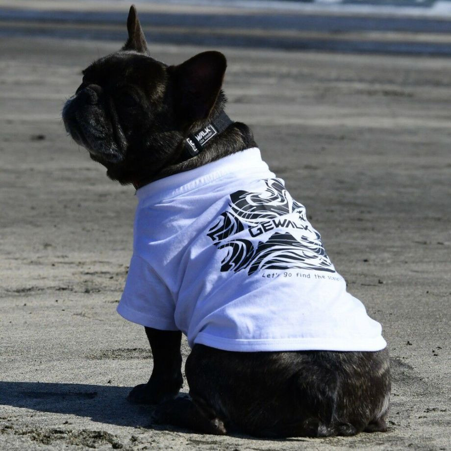 LGE530 サーフウエーブバックプリント　Ｔシャツ 【BMブルドッグ専用サイズ】  犬  GEWALK  ジウォーク  Tシャツ・カットソー