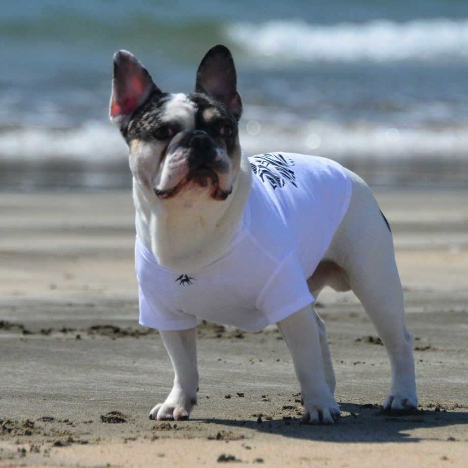 LGE530 サーフウエーブバックプリント　Ｔシャツ  【BLブルドッグ専用サイズ】  犬  GEWALK  ジウォーク  Tシャツ・カットソー