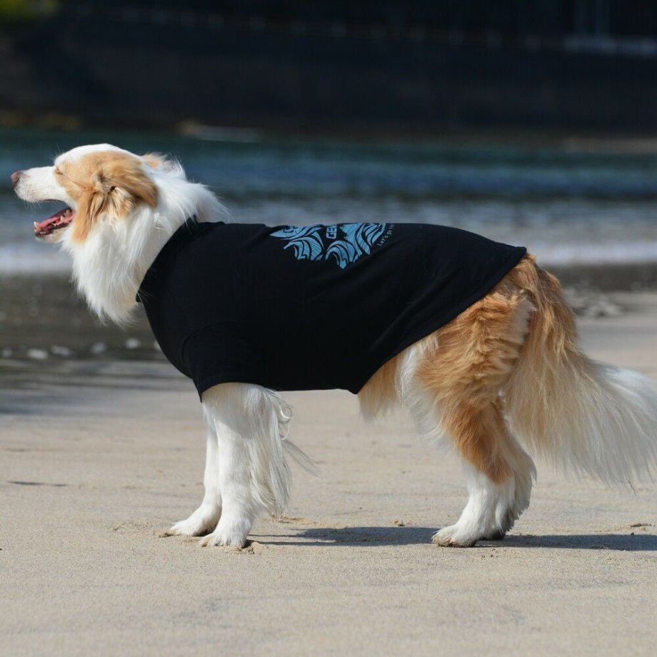 LGE530 サーフウエーブバックプリント　Ｔシャツ 【XL】  犬  GEWALK  ジウォーク  Tシャツ・カットソー