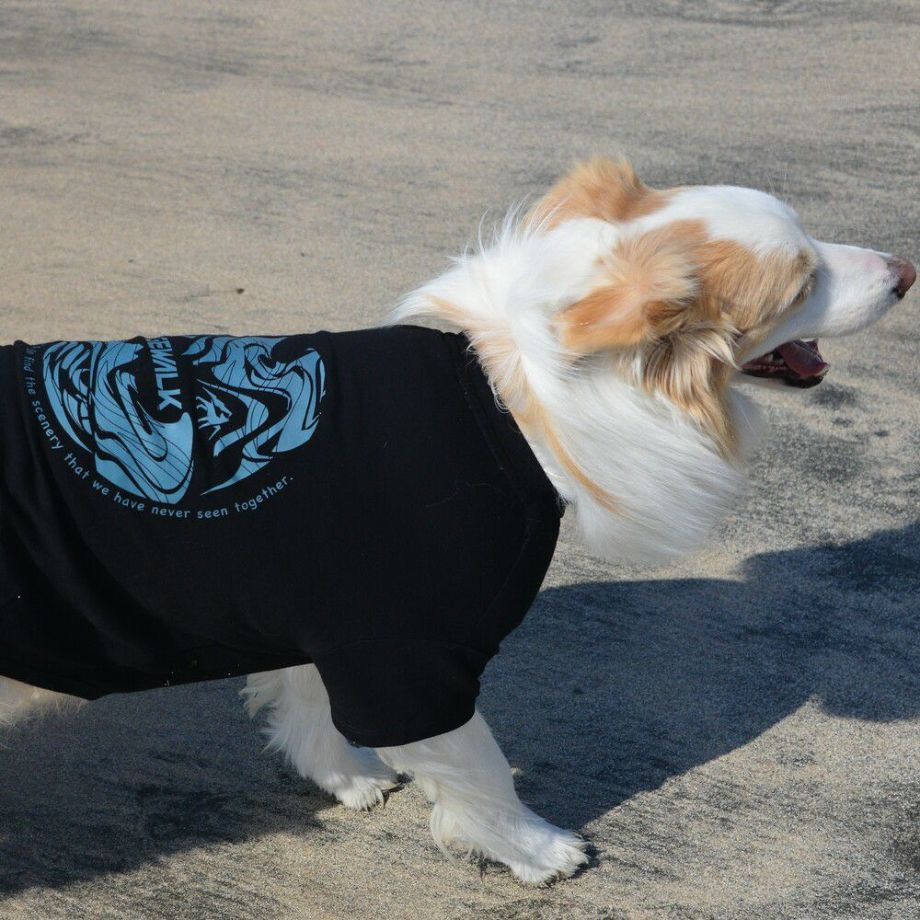 LGE530 サーフウエーブバックプリント　Ｔシャツ 【XL】  犬  GEWALK  ジウォーク  Tシャツ・カットソー