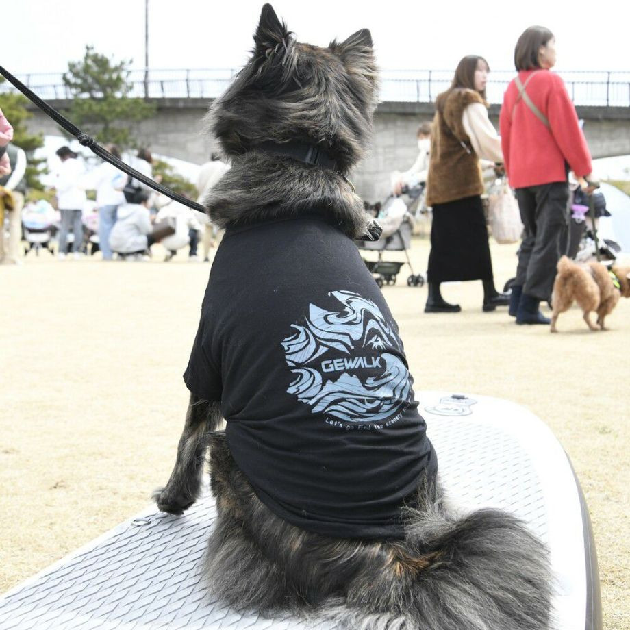 LGE530  サーフウエーブバックプリント　Ｔシャツ 【2XL】  犬  GEWALK  ジウォーク  Tシャツ・カットソー