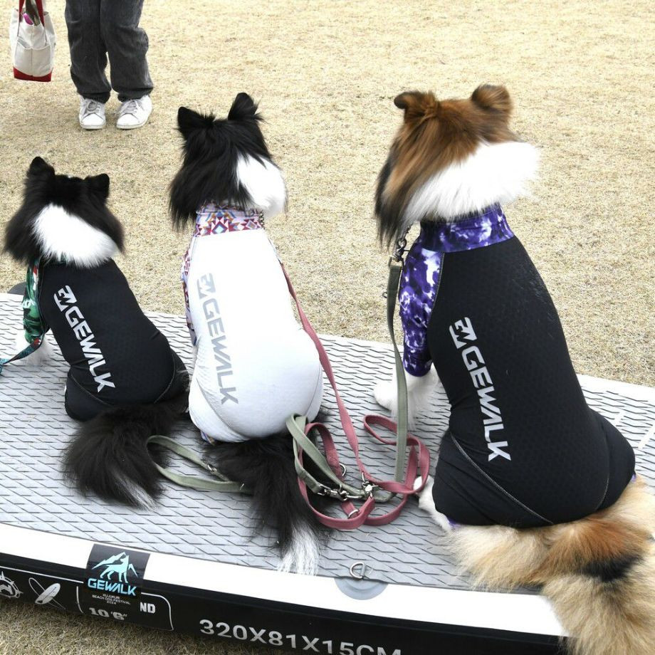 LGE533 タイダイプリント マイナス　フリージング　ロンパース【5L】ラッシュガード  犬  GEWALK  ジウォーク  ロンパース