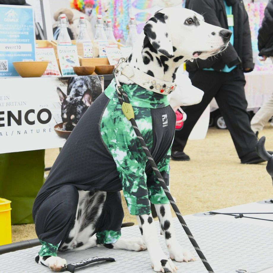 LGE533 タイダイプリント マイナス　フリージング　ロンパース【5L】ラッシュガード  犬  GEWALK  ジウォーク  ロンパース