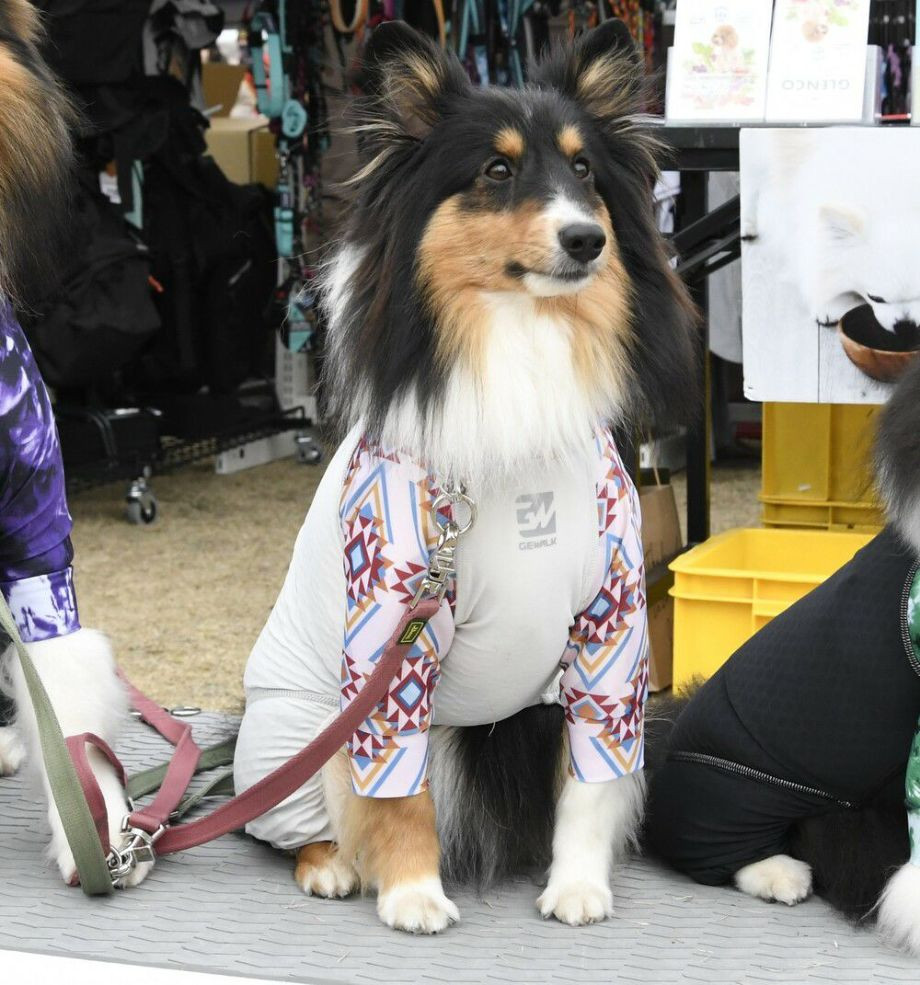 LGE534 ネイティブプリント マイナス　フリージング　ロンパース【5L】ラッシュガード  犬  GEWALK  ジウォーク  ロンパース