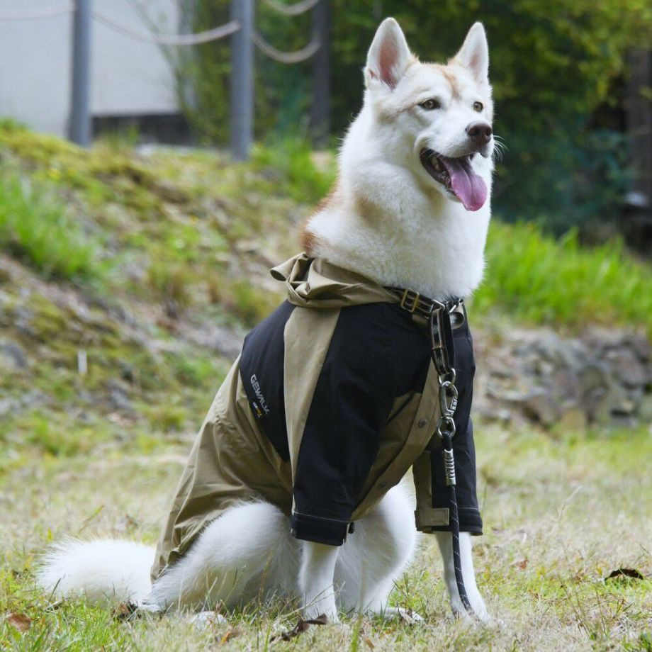 マウンテン　ジャケット【3XL】  犬  GEWALK    ジャケット