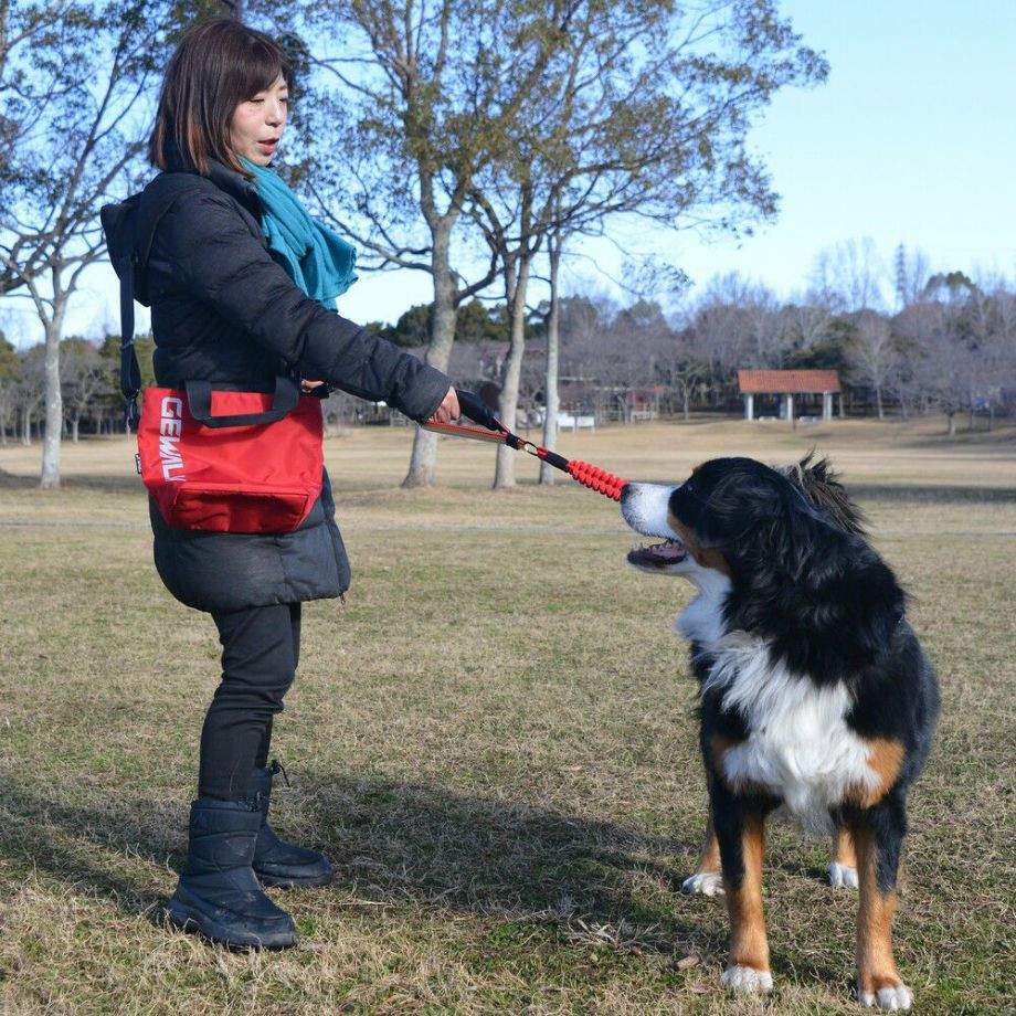 LGY104 ミニトートバッグ　エコ  犬  GEWALK    バッグ_オーナー用