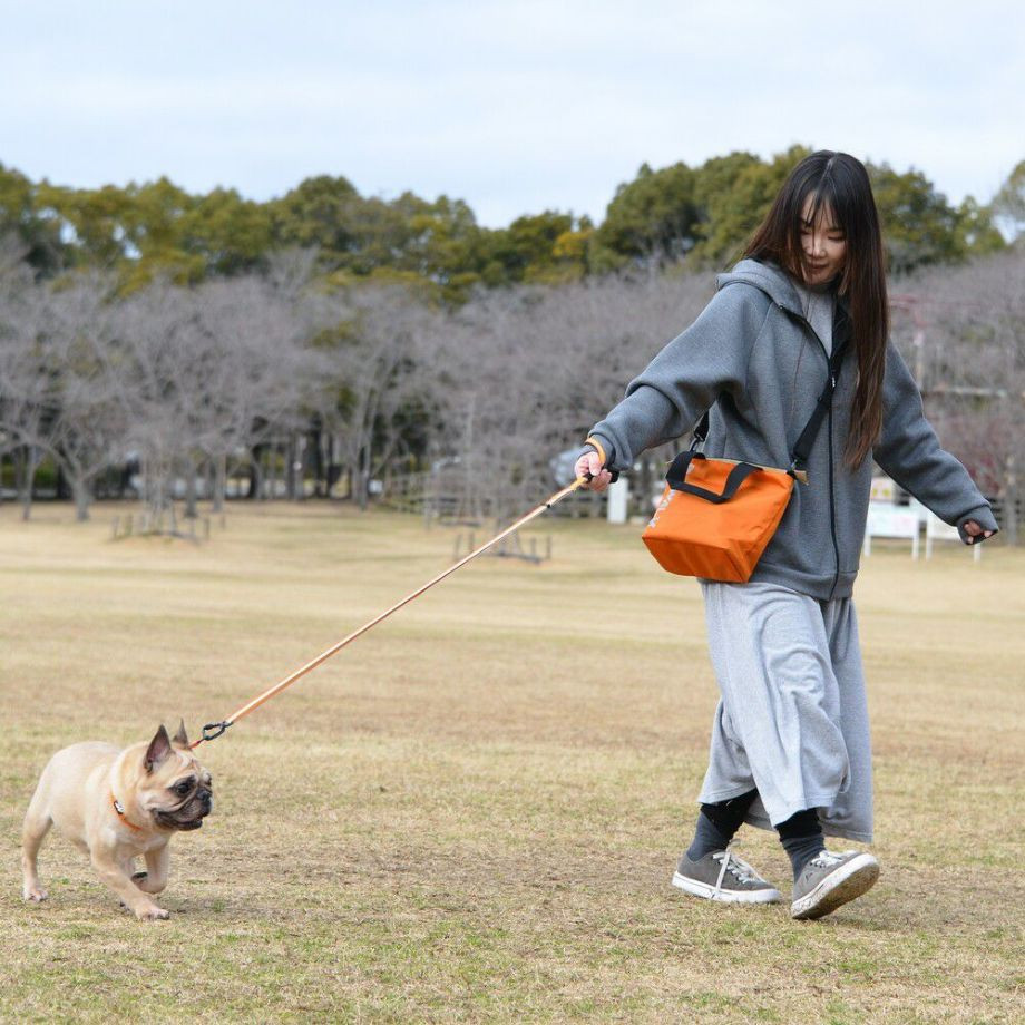 LGY104 ミニトートバッグ　エコ  犬  GEWALK    バッグ_オーナー用