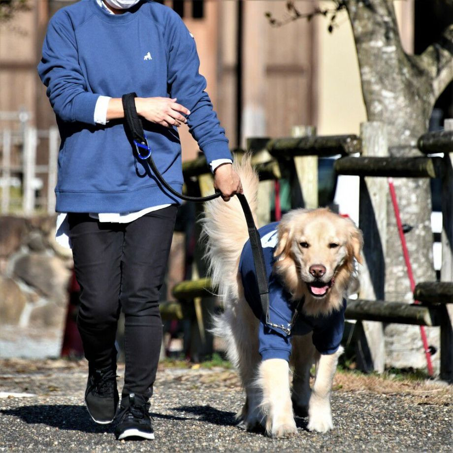 コットンスウェットシャツ【XS　S　M】  犬  GEWALK    スウェット・パーカー_オーナー用