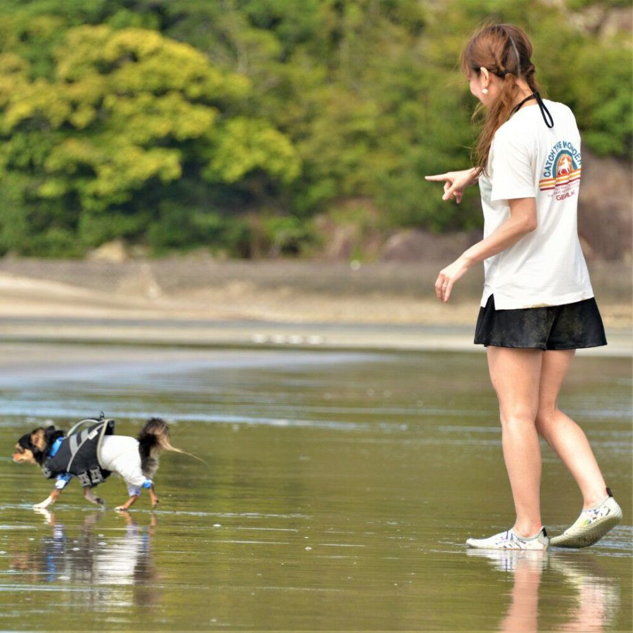 グラフィック　Tシャツ　ロゴ 【S M L LL】  犬  GEWALK    Tシャツ_オーナー用