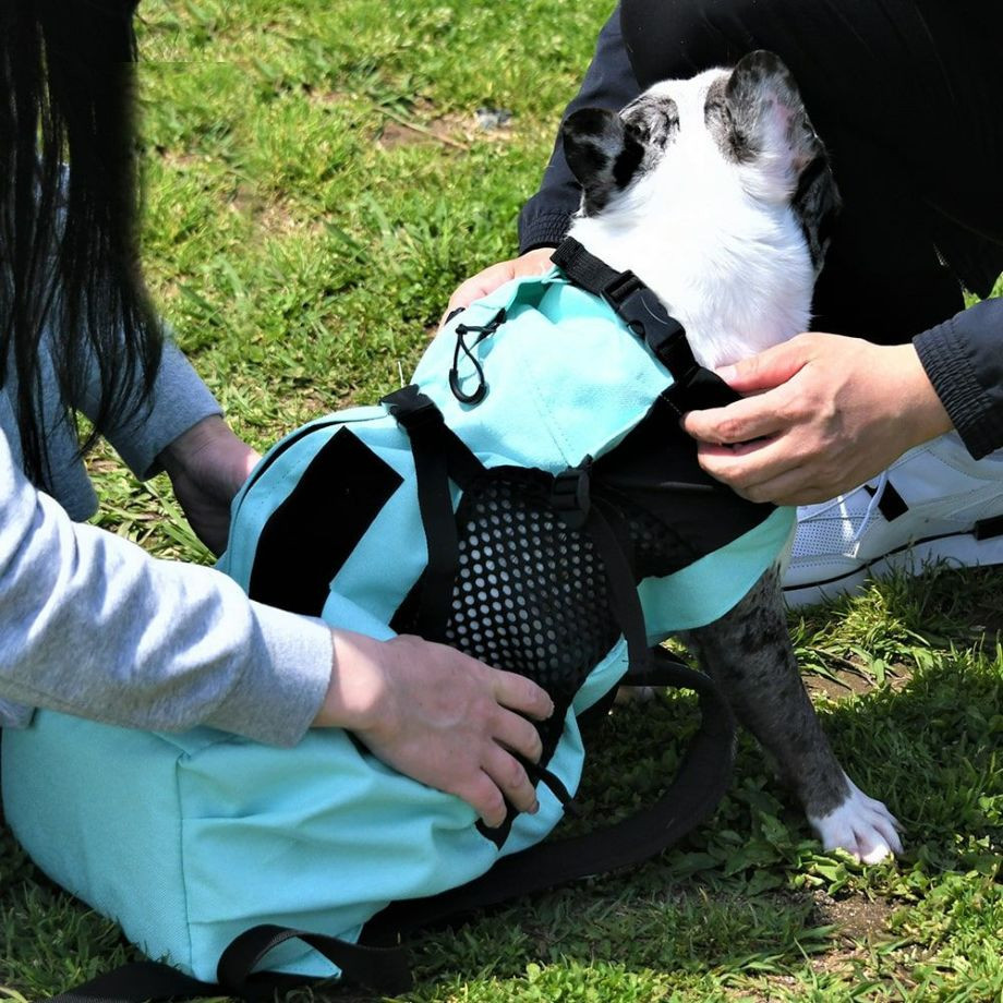 K9 Sport Sack Air 2 【XS S M L】  犬  K9 SPORTS  ケーナインスポーツ  バッグ_オーナー用