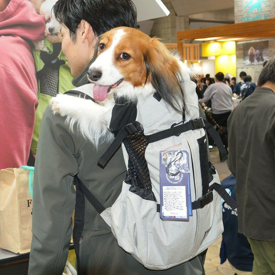 K9 Sport Sack Air 2 【XS S M L】  犬  K9 SPORTS  ケーナインスポーツ  バッグ_オーナー用