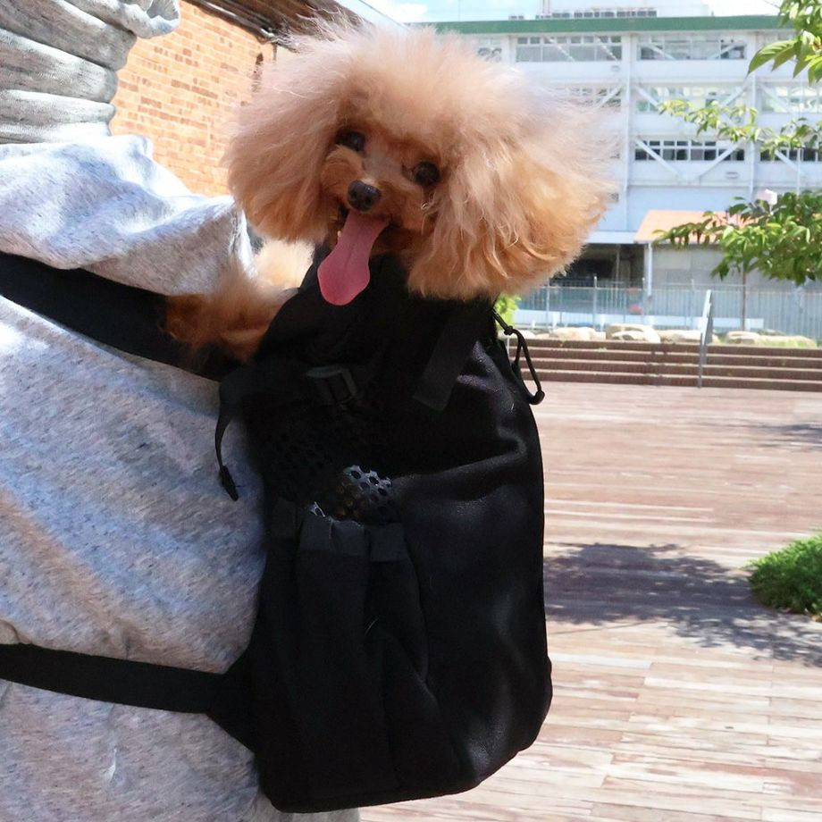 K9 Sport Sack Air 2 【XS S M L】  犬  K9 SPORTS  ケーナインスポーツ  バッグ_オーナー用