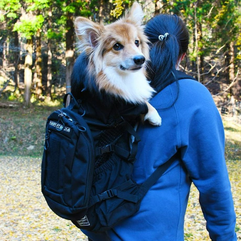 K9 Sport Sack PLUS 2 【S M L】  犬  K9 SPORTS  ケーナインスポーツ  バッグ_オーナー用