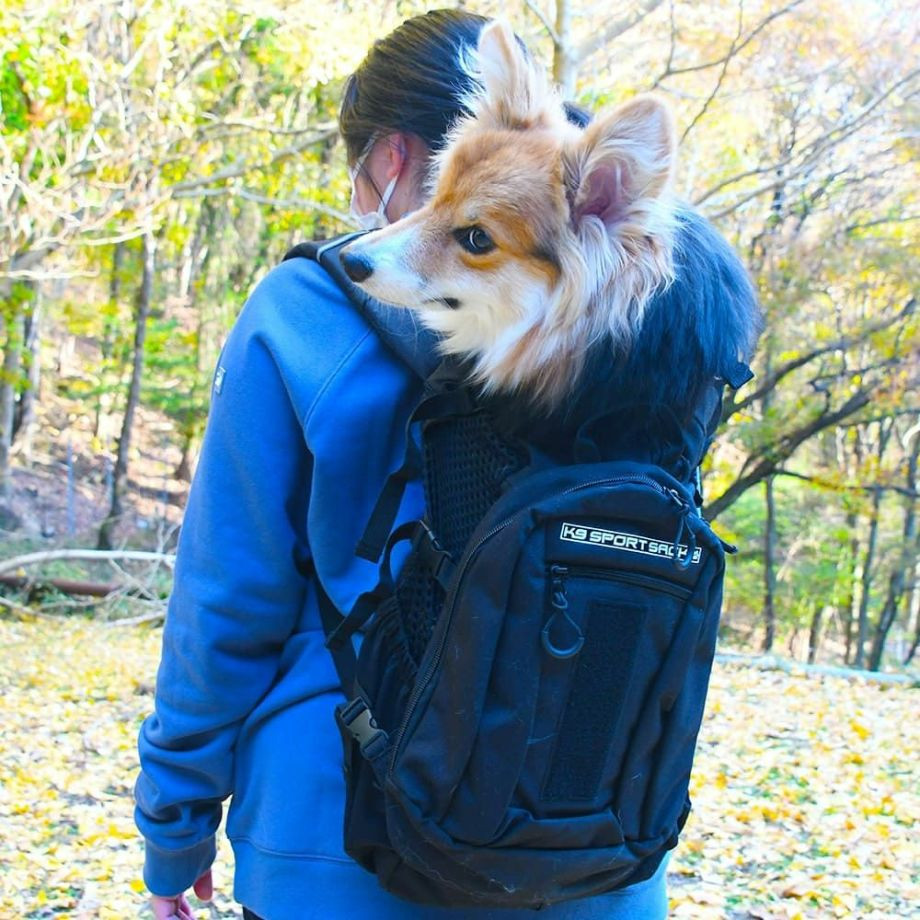 K9 Sport Sack PLUS 2 【S M L】  犬  K9 SPORTS  ケーナインスポーツ  バッグ_オーナー用