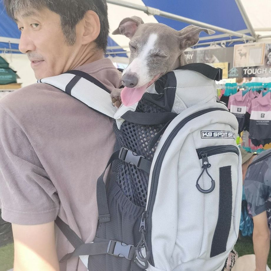 K9 Sport Sack PLUS 2 【S M L】  犬  K9 SPORTS  ケーナインスポーツ  バッグ_オーナー用