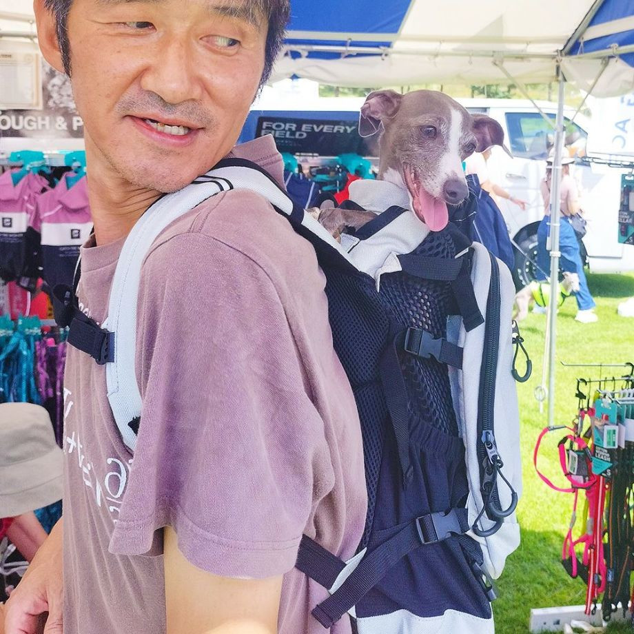 K9 Sport Sack PLUS 2 【S M L】  犬  K9 SPORTS  ケーナインスポーツ  バッグ_オーナー用