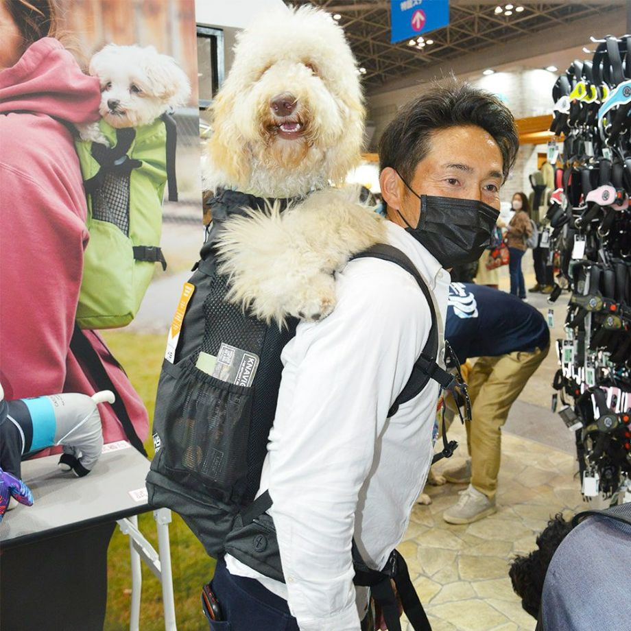 K9 Sport Sack Knavigate【XS S M L XL】  犬  K9 SPORTS  ケーナインスポーツ  バッグ_オーナー用