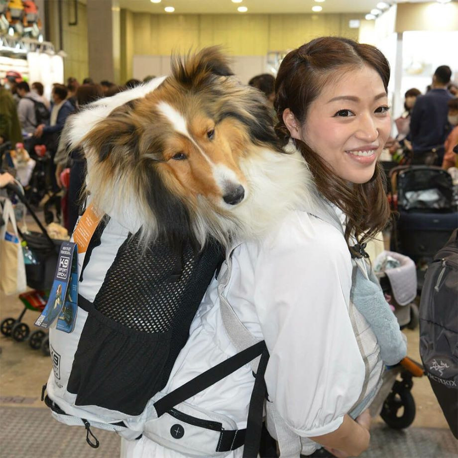 K9 Sport Sack Knavigate【XS S M L XL】  犬  K9 SPORTS  ケーナインスポーツ  バッグ_オーナー用