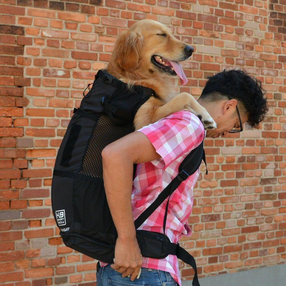 K9 Sport Sack Knavigate【XS S M L XL】  犬  K9 SPORTS  ケーナインスポーツ  バッグ_オーナー用