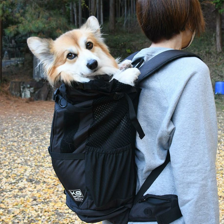 K9 Sport Sack Knavigate【XS S M L XL】  犬  K9 SPORTS  ケーナインスポーツ  バッグ_オーナー用