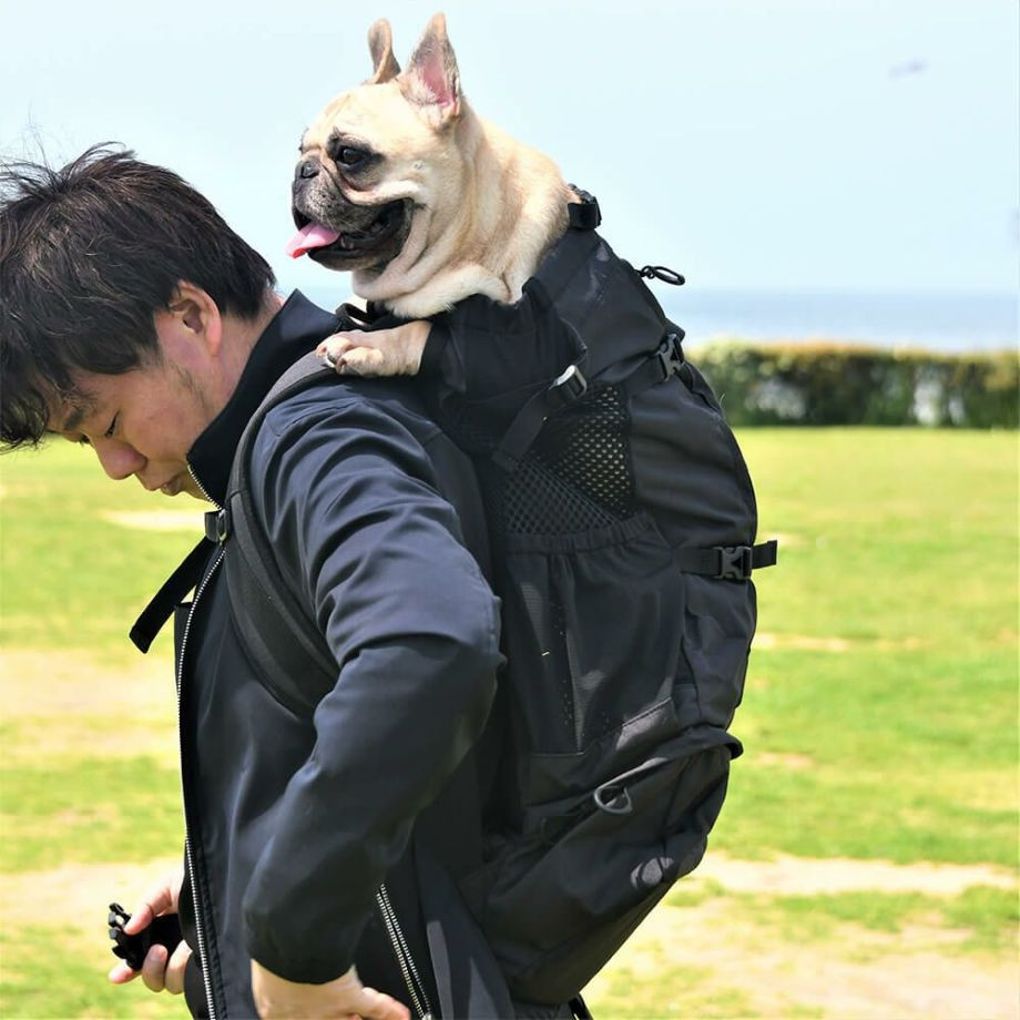 K9 Sport Sack Knavigate【XS S M L XL】  犬  K9 SPORTS  ケーナインスポーツ  バッグ_オーナー用