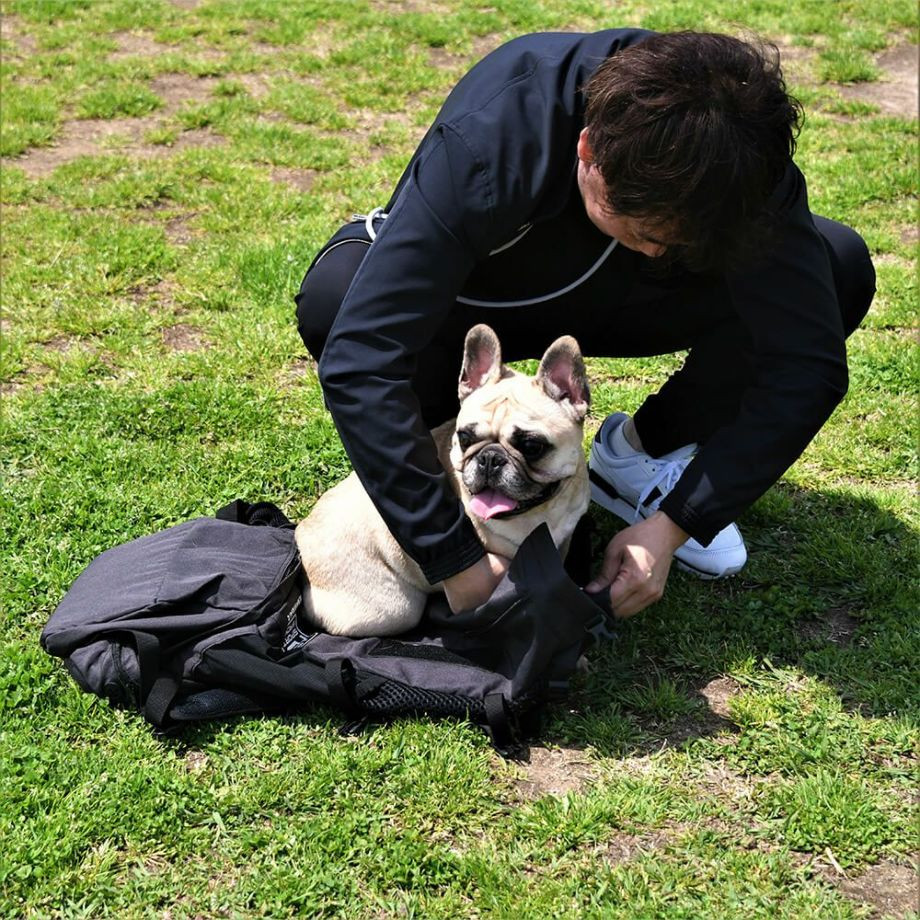 K9 Sport Sack Knavigate【XS S M L XL】  犬  K9 SPORTS  ケーナインスポーツ  バッグ_オーナー用