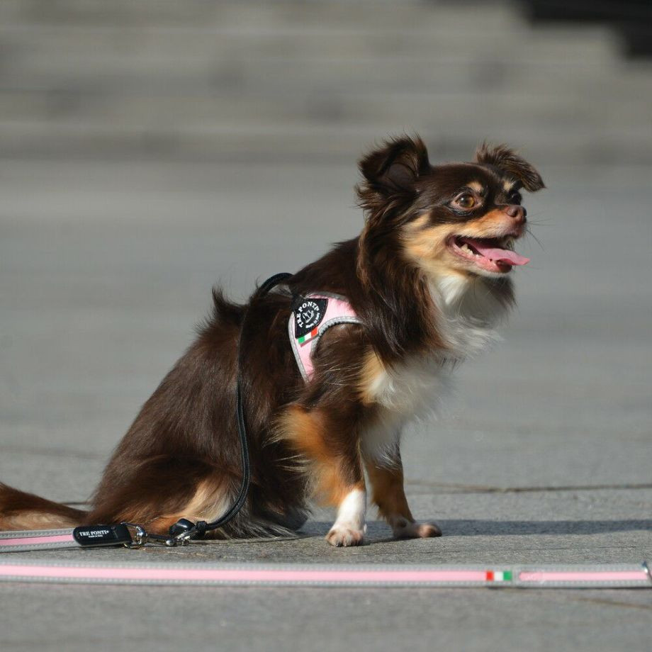 リベルタ　リフレクティブ【2号　2.5号】  犬  TRE PONTI  トレポンティ  ハーネス