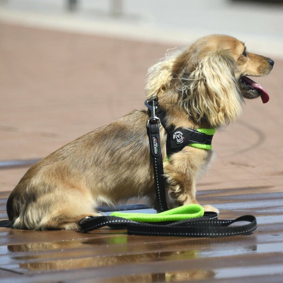 フィッビア　ソフトメッシュ【3号 3.5号】  犬  TRE PONTI  トレポンティ  ハーネス