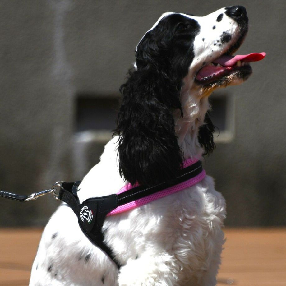 フィッビア　アジャスタブルタイプ　ソフトメッシュ【3号 3.5号】  犬  TRE PONTI  トレポンティ  ハーネス