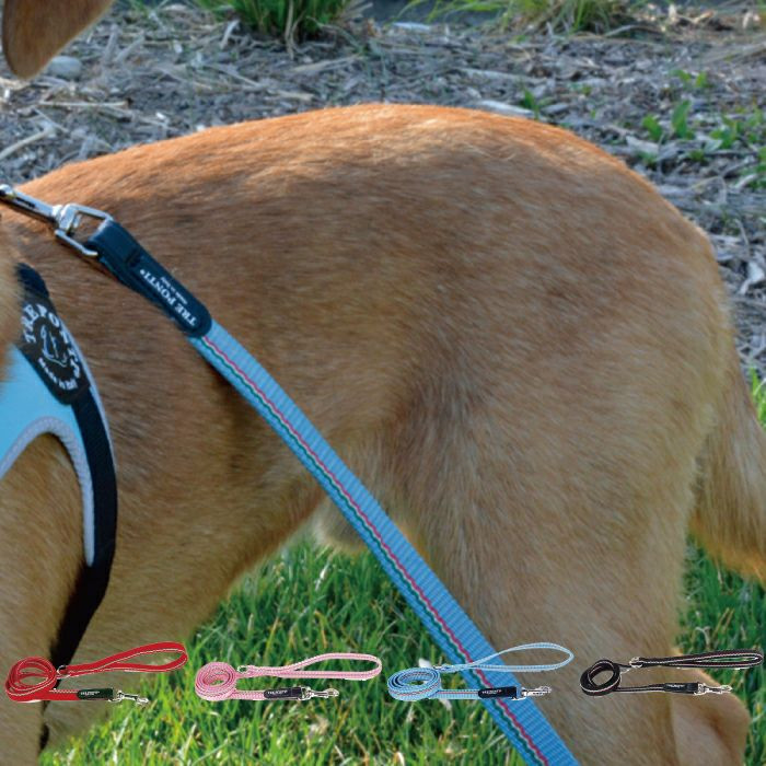 エコノミックリーシュ　イタリアンフラッグ  犬  TRE PONTI  トレポンティ  リード