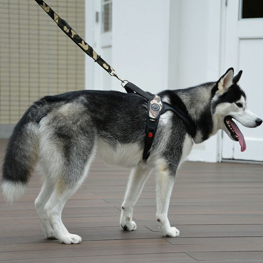 エコノミックリーシュ　カモフラージュ  犬猫用  TRE PONTI  トレポンティ  リード