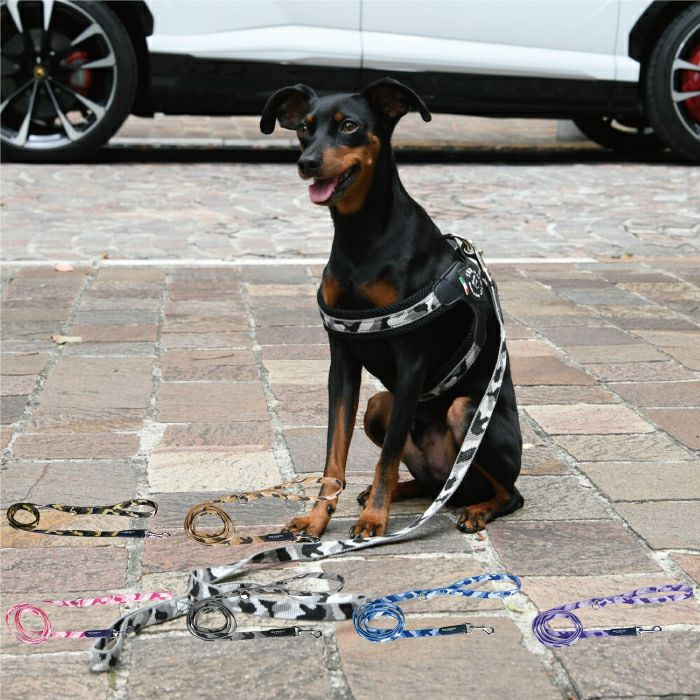 エコノミックリーシュ　カモフラージュ  犬  TRE PONTI  トレポンティ  リード